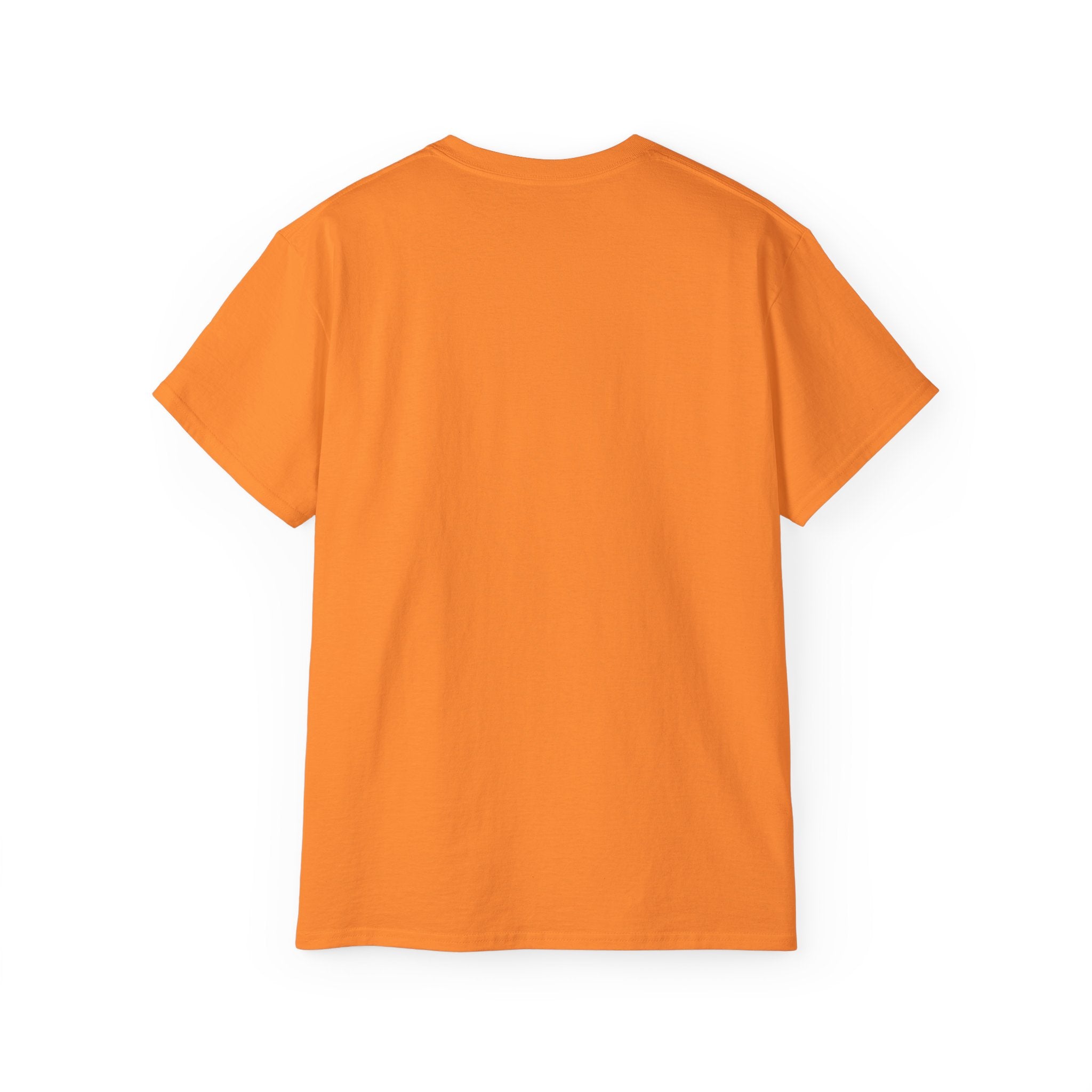 Pickleball Sunset Badge T‑Shirt  Emotionally Fueled by Pickleball