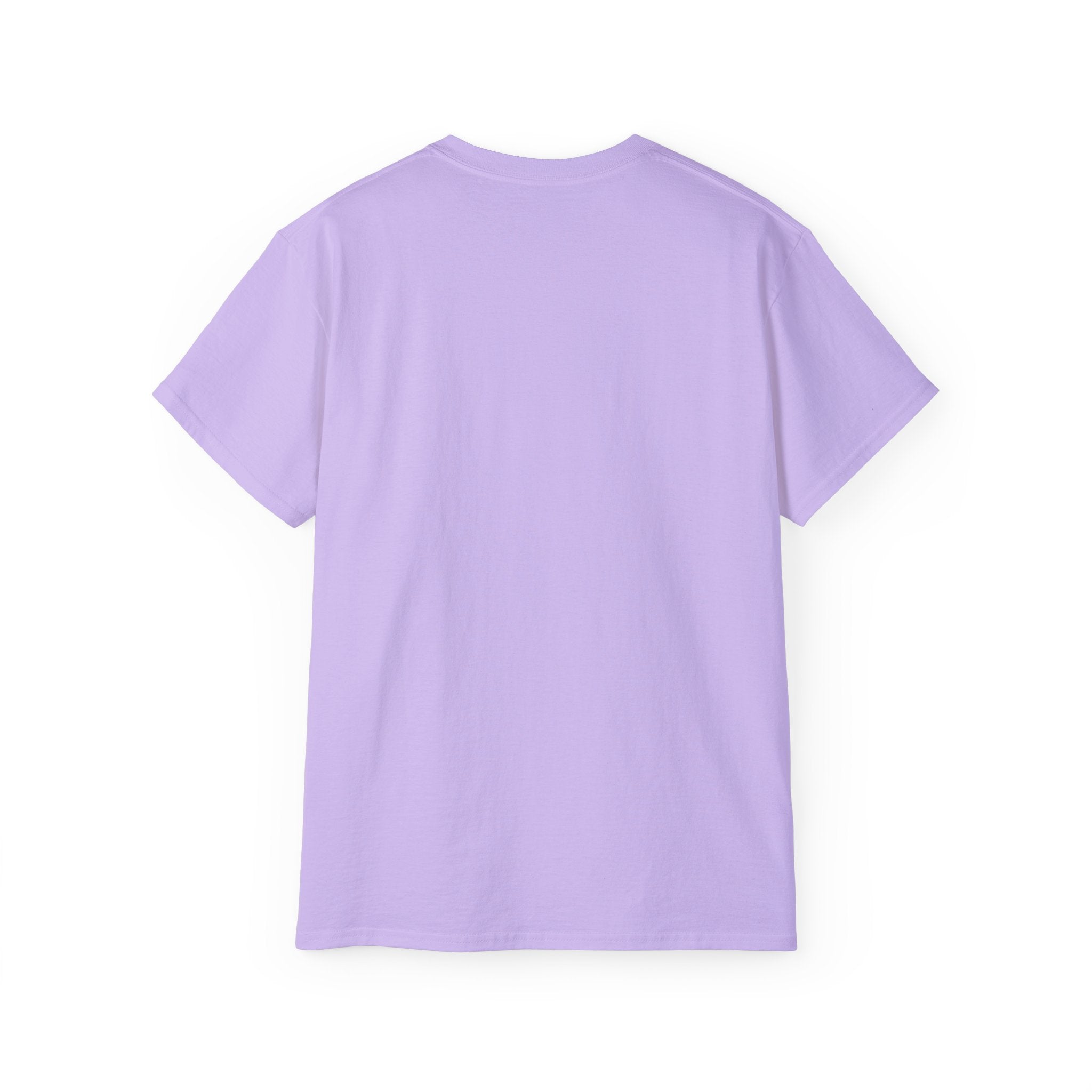 Pickleball Sunset Badge T‑Shirt  Emotionally Fueled by Pickleball